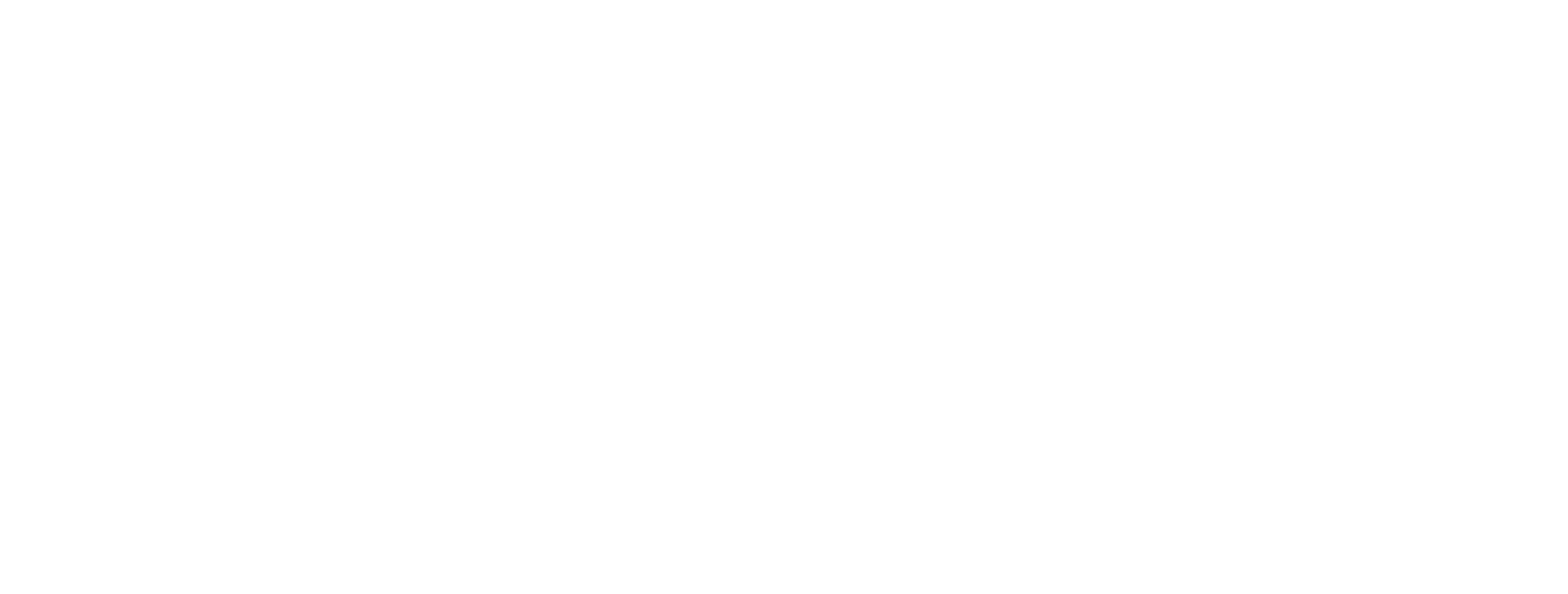 FlyThings logo